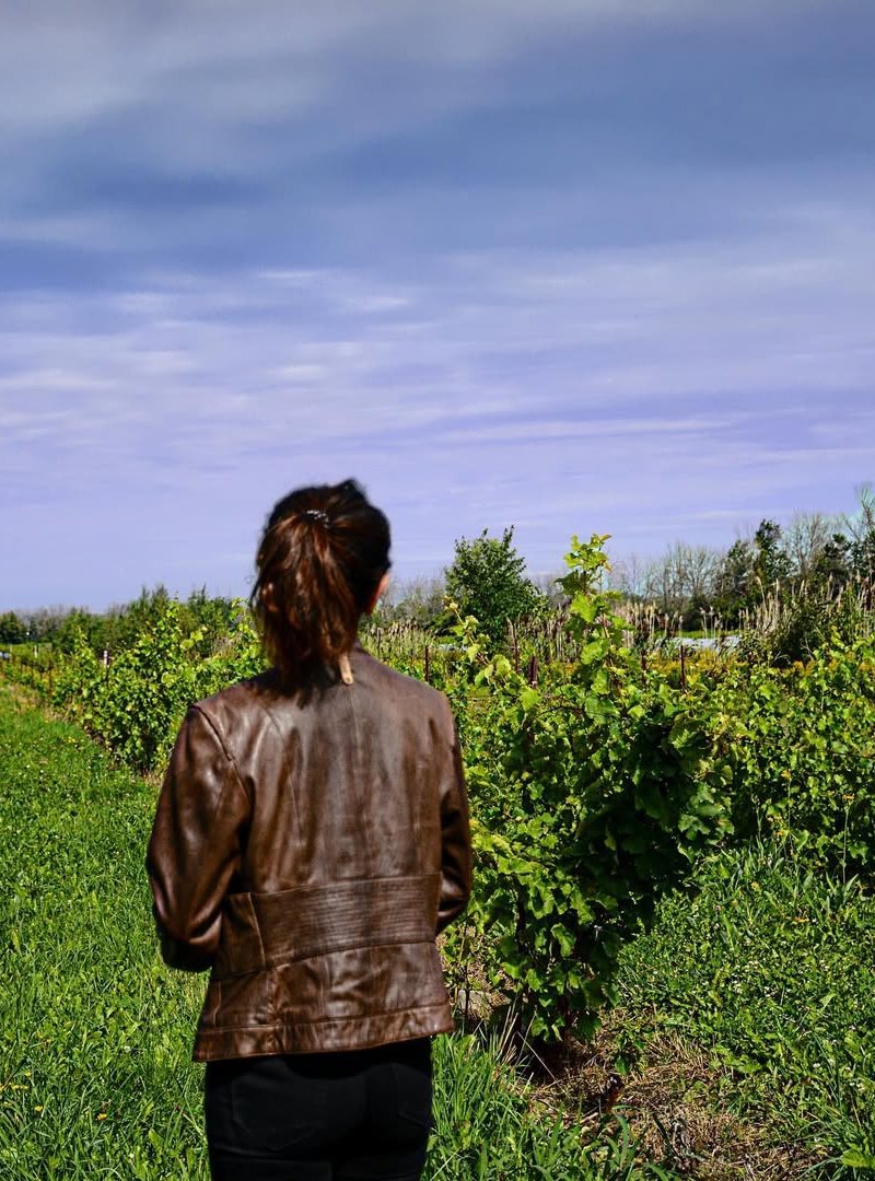 Luz looking out across a vineyard